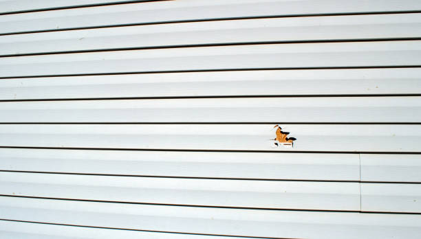 Best Custom Siding Design  in Forsgate, NJ