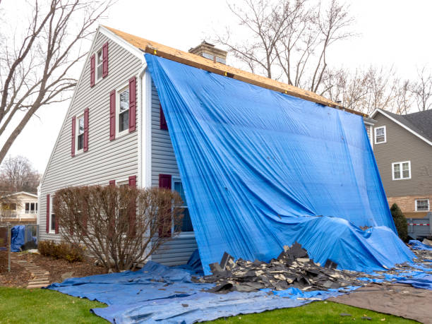Best Engineered Wood Siding  in Forsgate, NJ