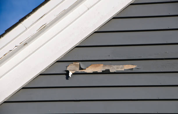 Best Steel Siding Installation  in Forsgate, NJ